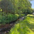 Westview holiday home near Liskeard
